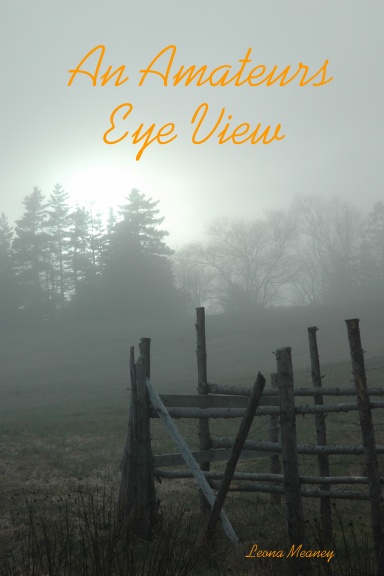 An Amateurs Eye View