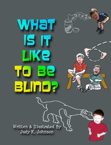 What Is It Like To Be Blind?
