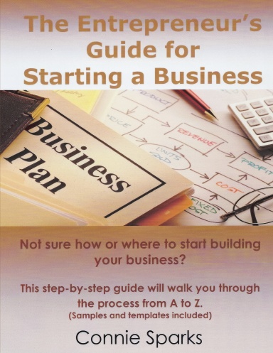 The Entrepreneur's Guide For Starting A Business