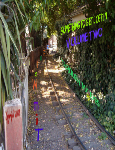 Something To Get Lost in Volume Two