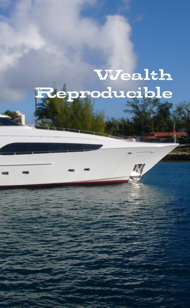 Wealth Reproducible