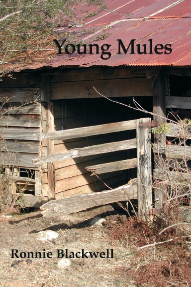 Young Mules