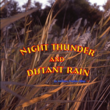 Night Thunder and Distant Rain
