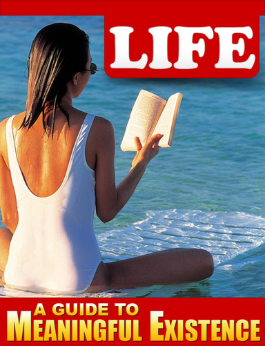LIFE: A Guide to Meaningful Existence