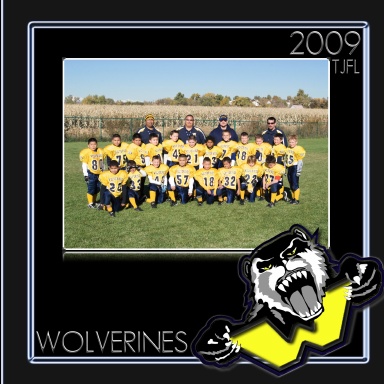 2009 Wolverines