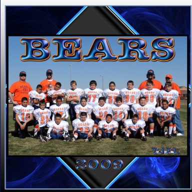 2009 Bears