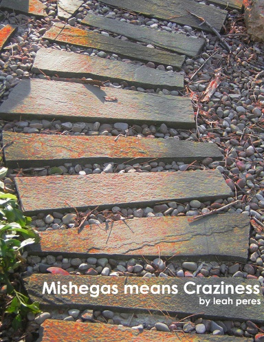 Mishegas. Craziness.