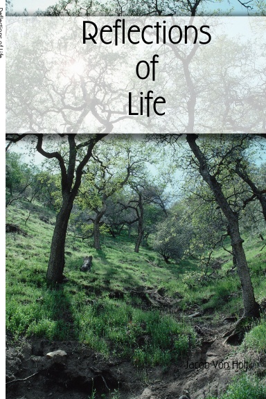 Reflections of Life