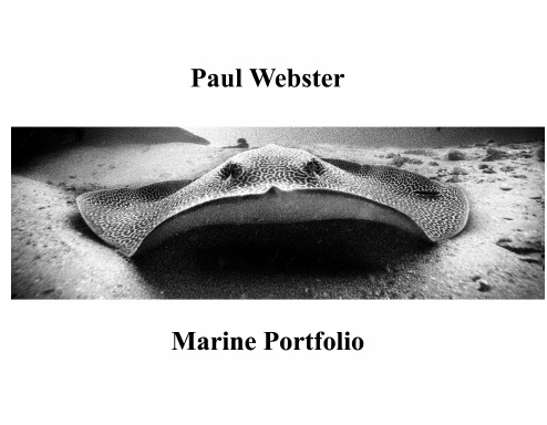 Paul Webster Marine Portfolio