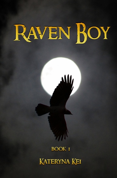 Raven Boy Book 1