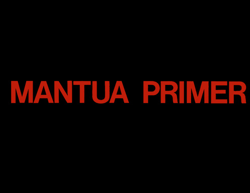 Mantua Primer