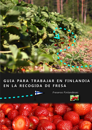Guía para trabajar en Finlandia en la recogida de Fresa