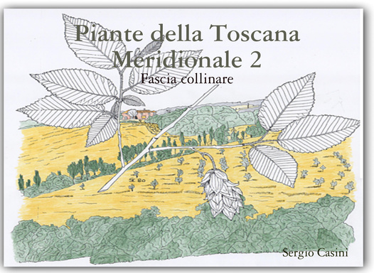 Piante della Toscana Meridionale 2
