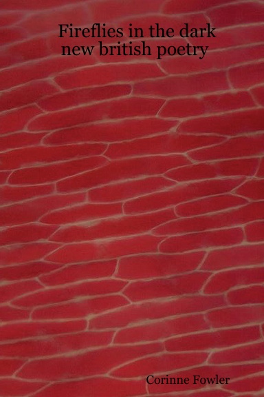 Fireflies in the dark: new british poetry