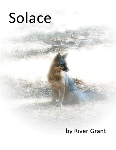 Solace