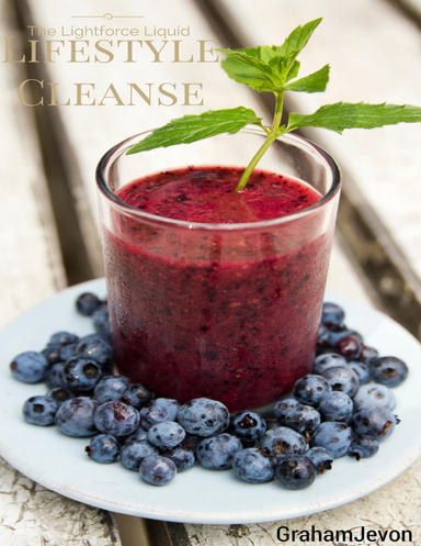 The Lightforce Liquid Lifestyle Cleanse