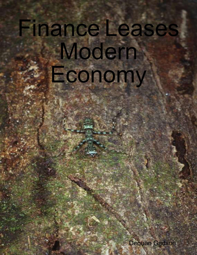 Finance Leases Modern Economy