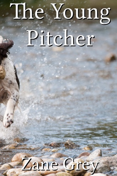 The Young Pitcher