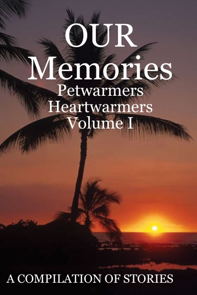 OUR MEMORIES FINAL