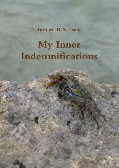 My Inner Indemnifications