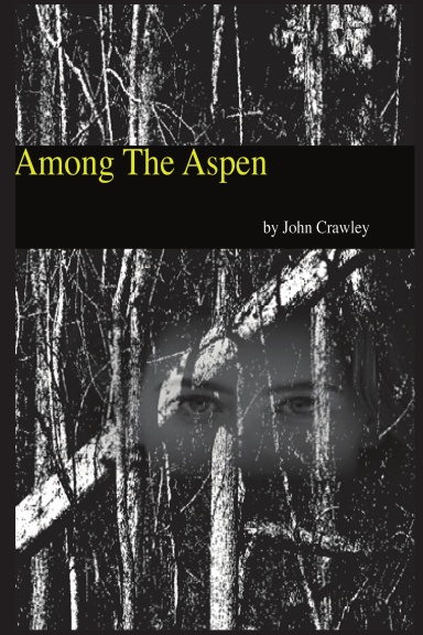 Among The Aspen