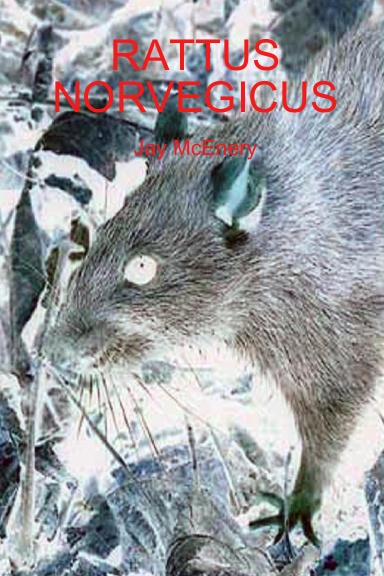Rattus Norvegicus
