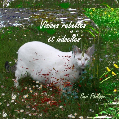 Visions rebelles et indociles