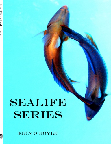 Sealife Series