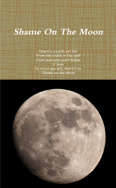 Shame On The Moon
