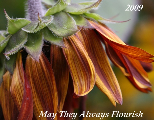 Botanical Illustration Graduates 2009