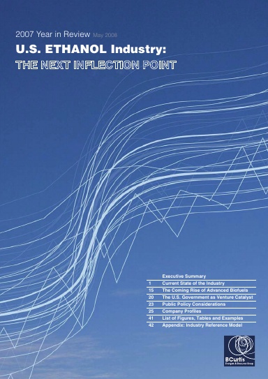 Biomass Report 2007