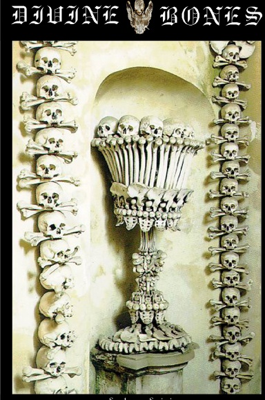 Divine Bones