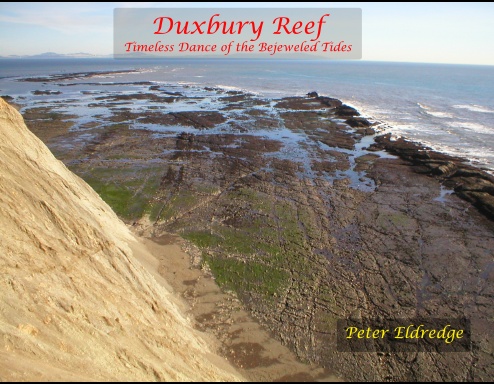 Duxbury Reef: Timeless Dance of the Bejeweled Tides