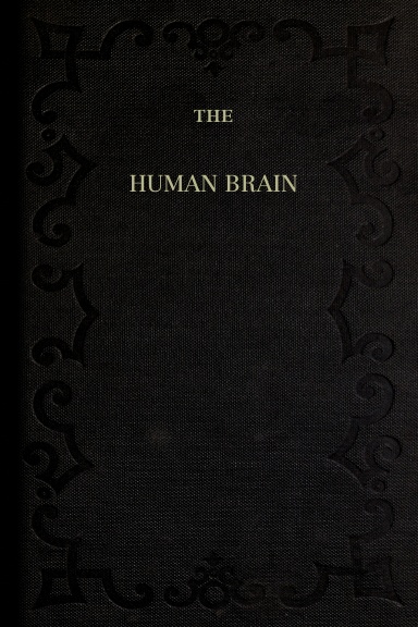The Human Brain
