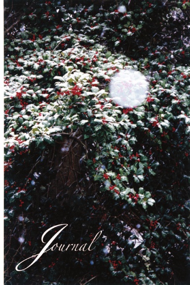 Merry Christmas Journal