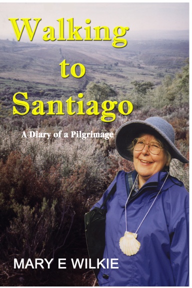 Walking to Santiago - Diary of a Pilgrimage