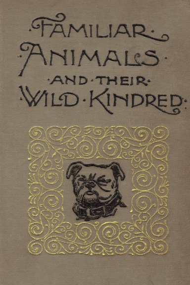 Familiar Animals and Their Wild Kindred