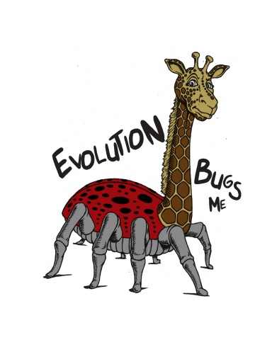Coloring Book