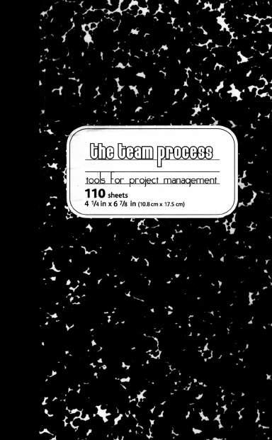 The Team Process: Tools for Project Management
