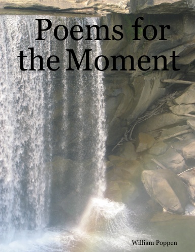 Poems for the Moment