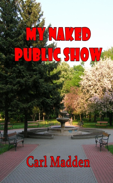 My Naked Public Show