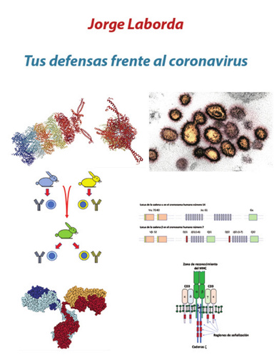 Tus defensas frente al coronavirus