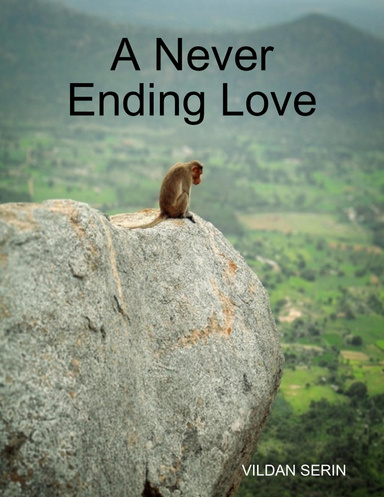A Never Ending Love