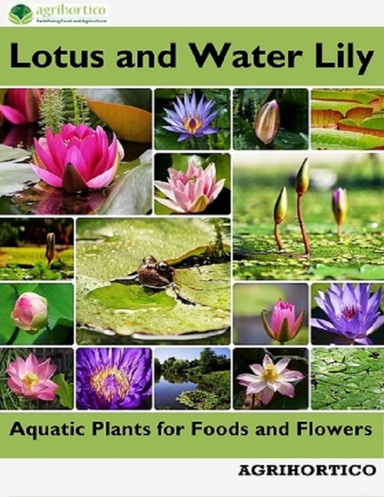 Lotus and Water Lily: Aquatic Plants for Foods and Flowers