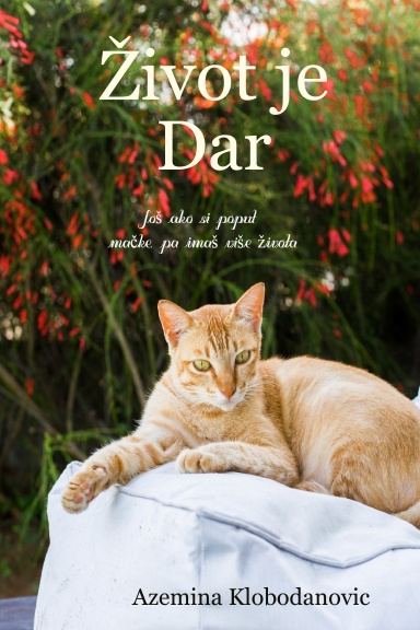 Život je dar