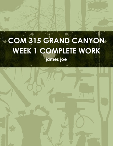 COM 315 GRAND CANYON WEEK 1 COMPLETE WORK