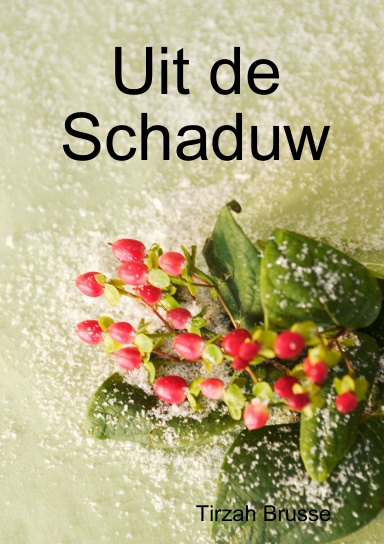 Uit de Schaduw