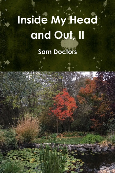 Inside My Head and Out, II
