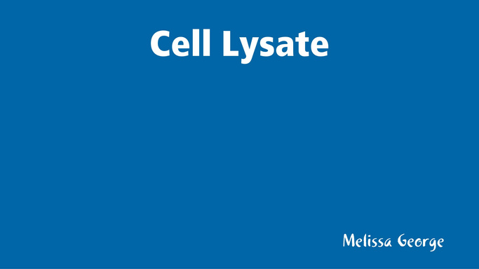 Cell Lysate