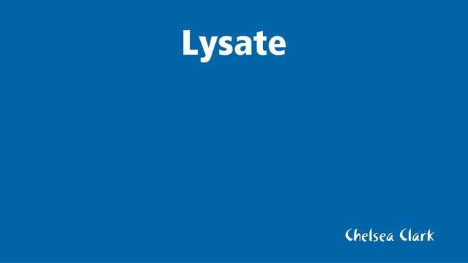 Lysate